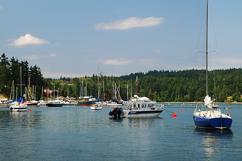 カナダ高校留学